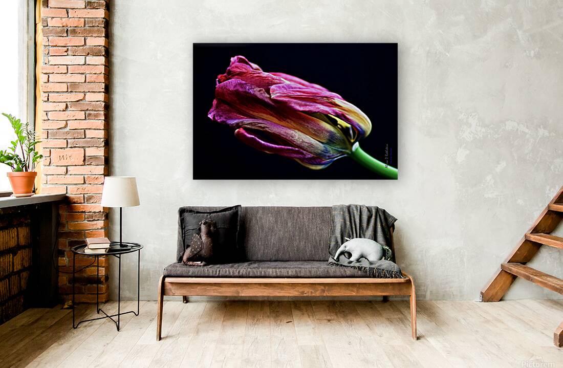 Tulip 4 Reproduction