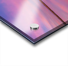 Potato Slough Acrylic print