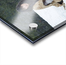 Wolf Woman Acrylic print