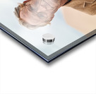 Mojave On The Run Acrylic print