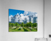 Swiss Vineyard Acrylic Print