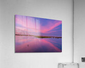 Potato Slough Acrylic Print