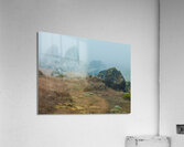 Gull Rock Acrylic Print