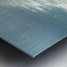 Point Reyes Beach Metal print