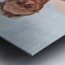 Mojave On The Run Metal print