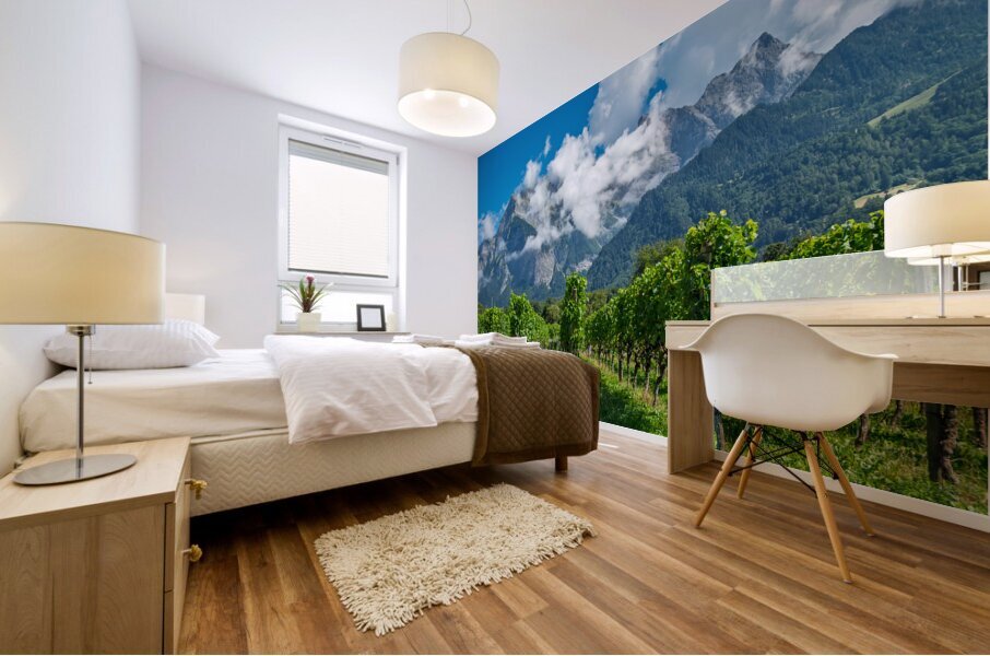 Swiss Vineyard Mural print