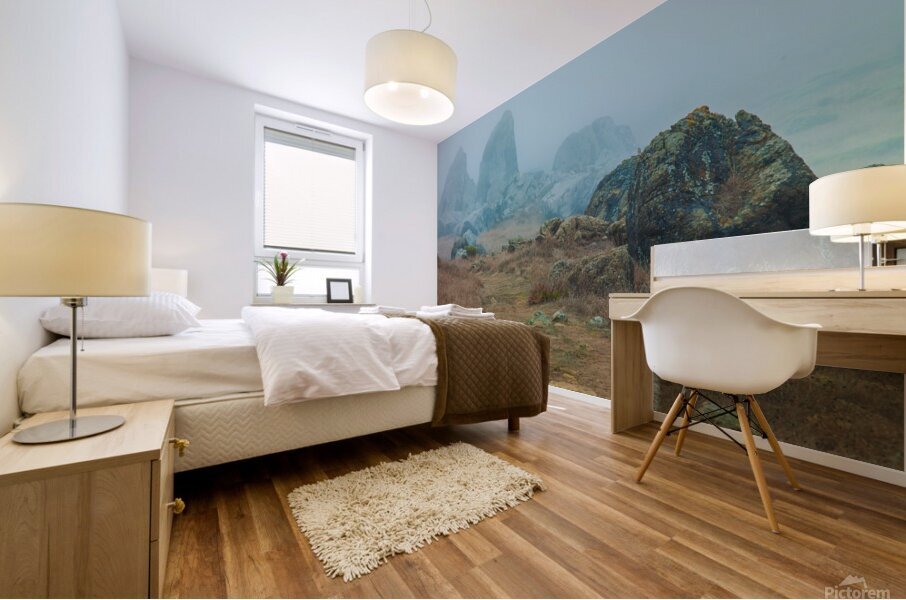 Gull Rock Mural print