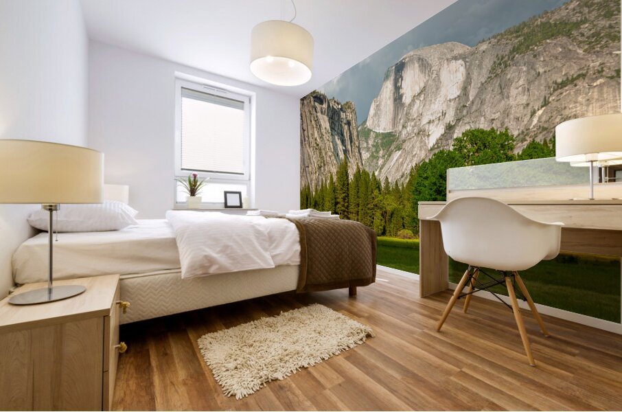 Yosemite Mural print