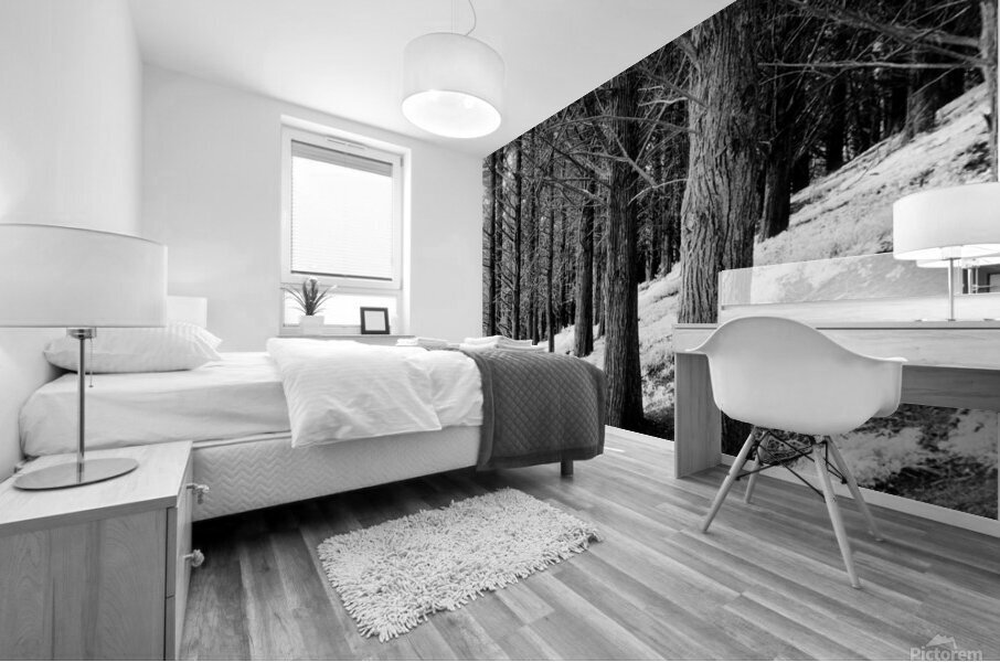 Presidio Cyprus Mural print