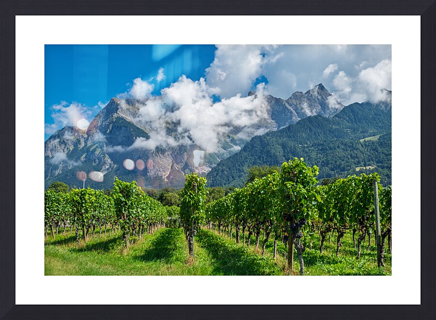 Swiss Vineyard Picture Frame print
