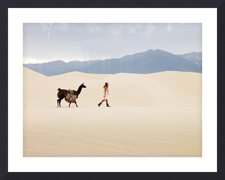 Mojave Llama Picture Frame print