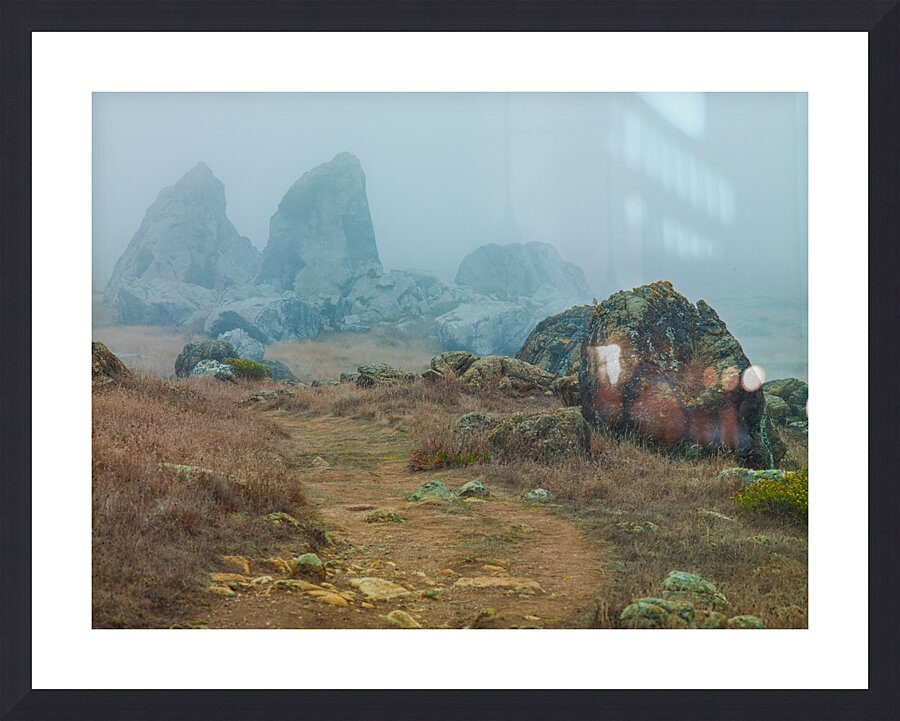 Gull Rock Picture Frame print