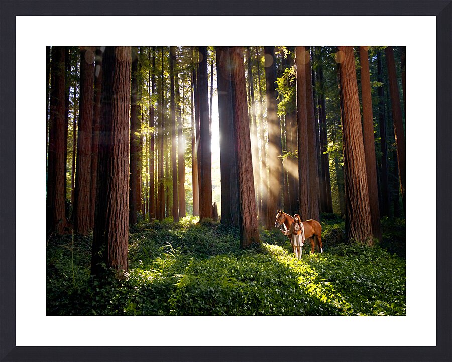 Redwoods Elf I Picture Frame print