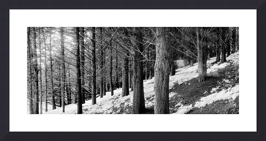 Presidio Cyprus Picture Frame print