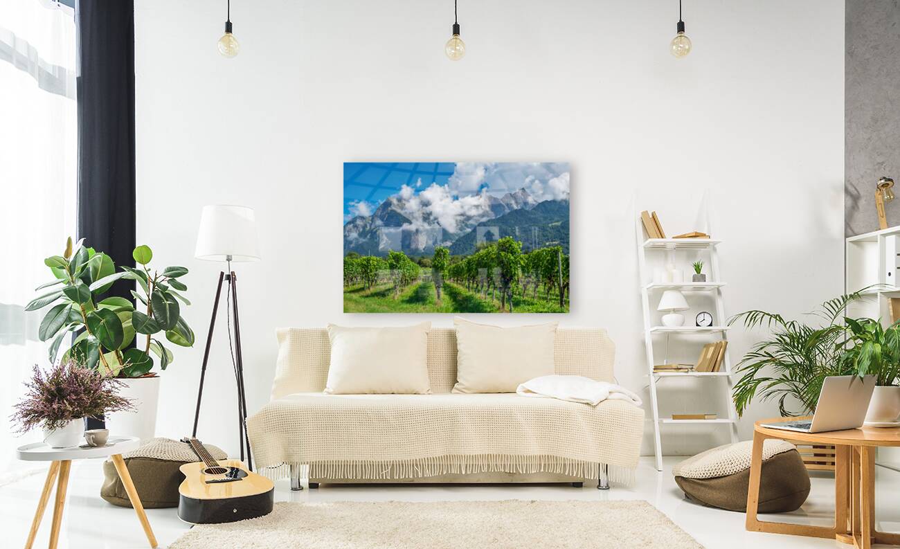 Swiss Vineyard Reproduction