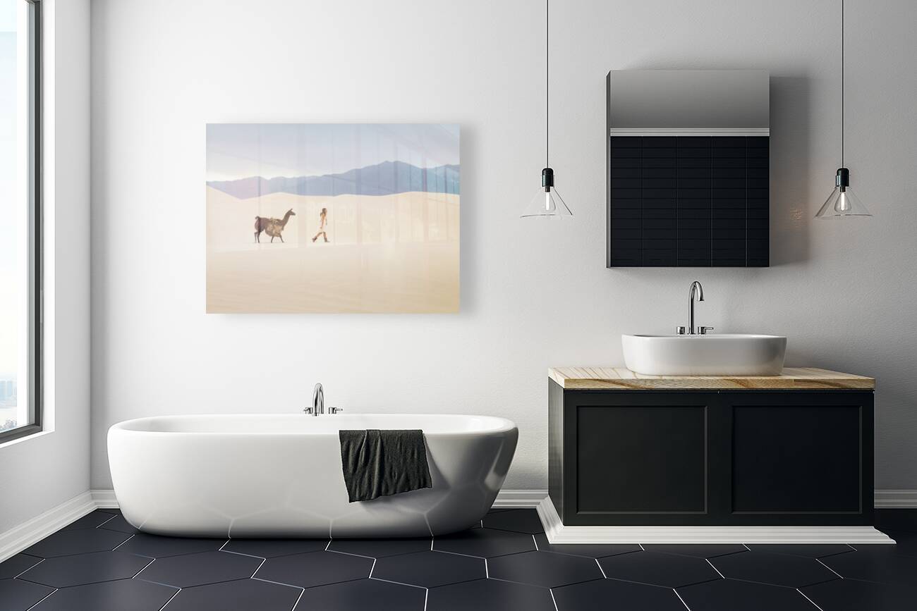 Mojave Llama Reproduction