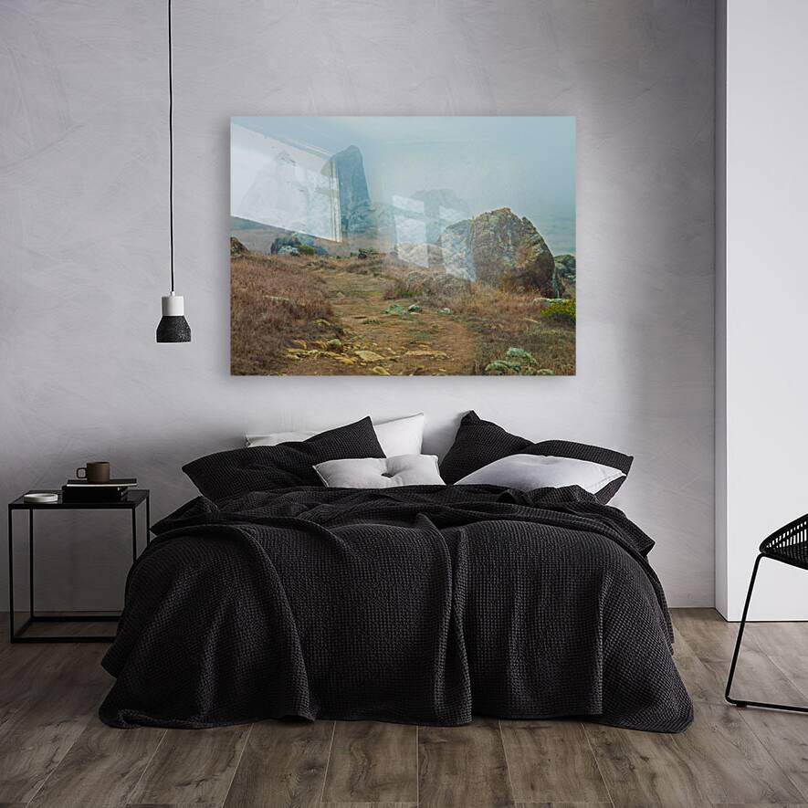 Gull Rock Reproduction