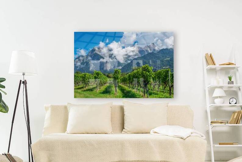 Swiss Vineyard by Jesse Goff