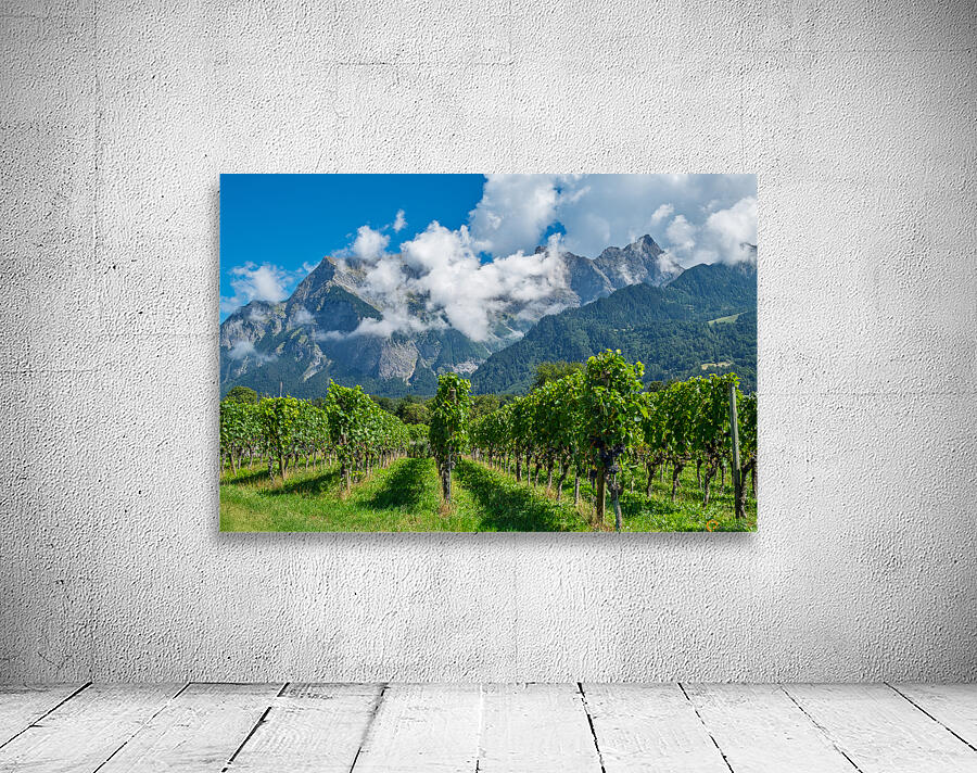 Swiss Vineyard Wall Preview