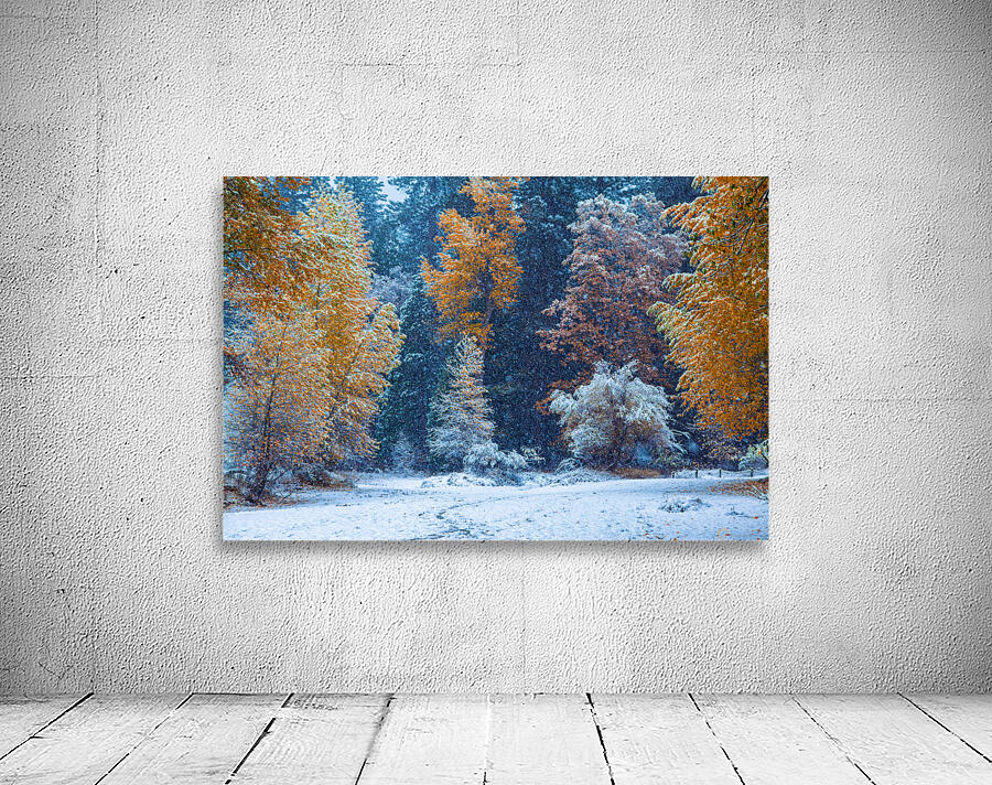 Yosemite Fall Wall Preview