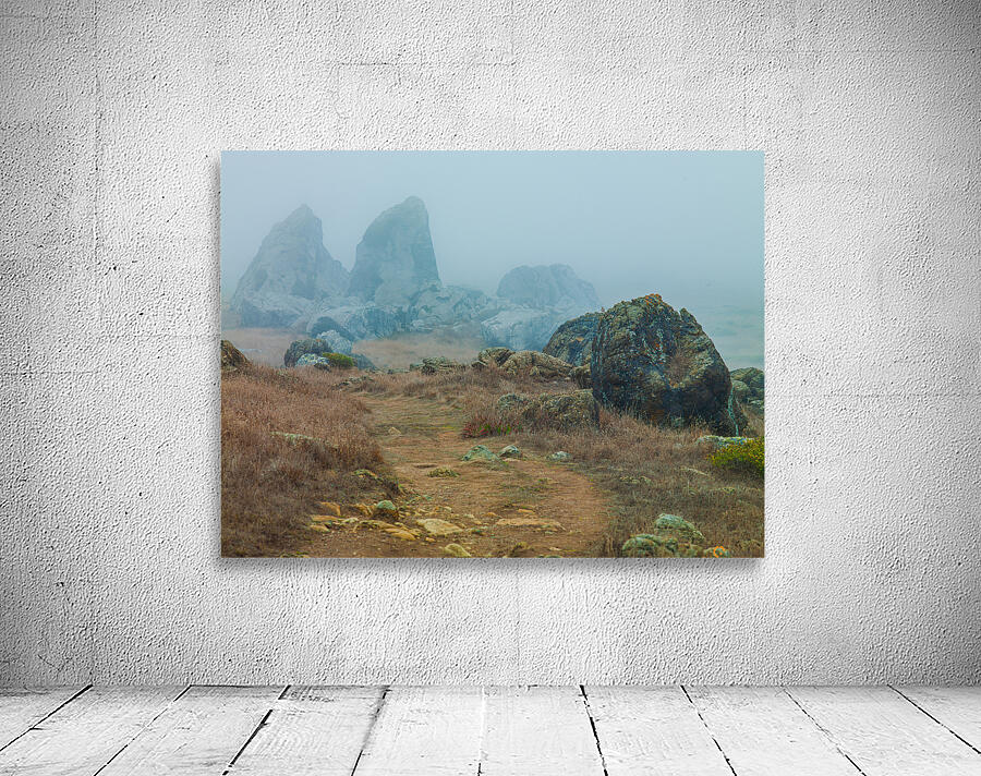 Gull Rock Wall Preview