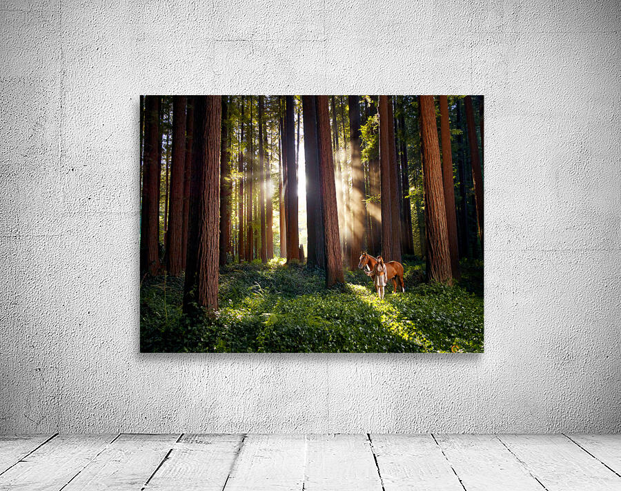 Redwoods Elf I Wall Preview