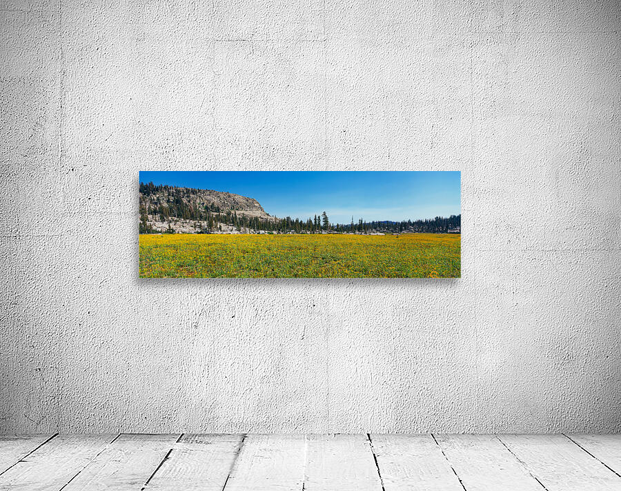Emigrant Spring Wall Preview