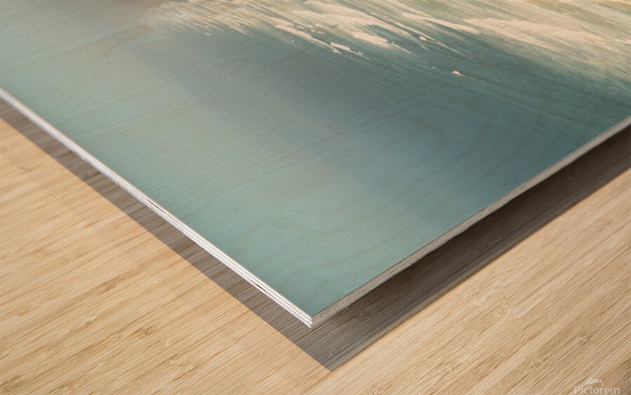 Point Reyes Beach Wood print