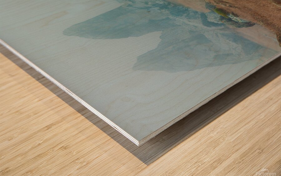 Gull Rock Wood print