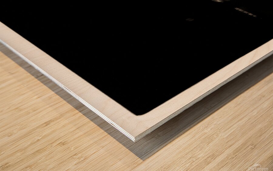 Norah Jones Sedona Wood print