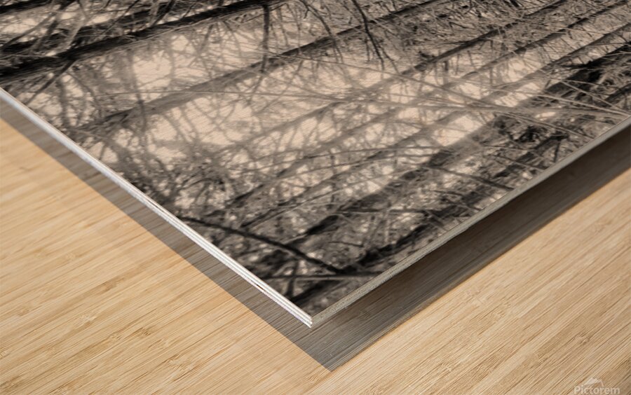 Presidio Cyprus Wood print