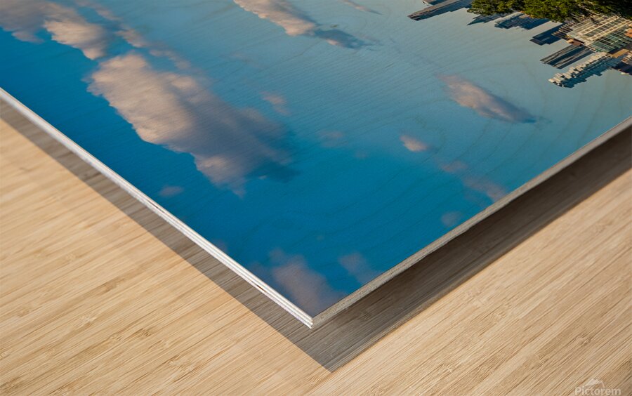 Little Island New York Wood print