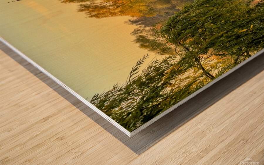 Ostra Dammarna Sweden Wood print