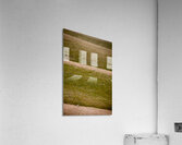Space to Roam Acrylic Print