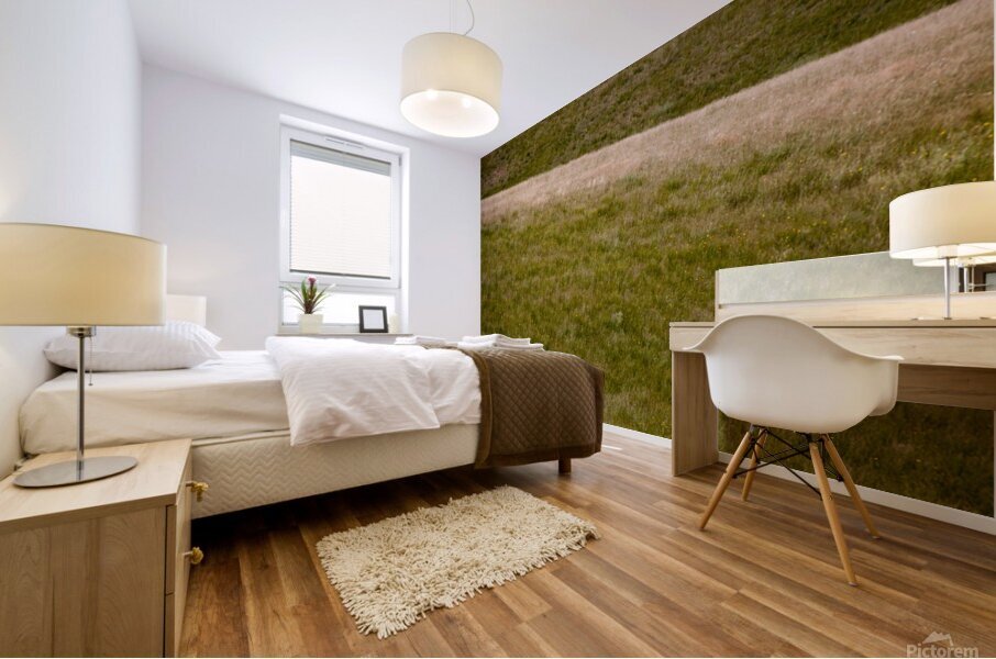 Space to Roam Mural print