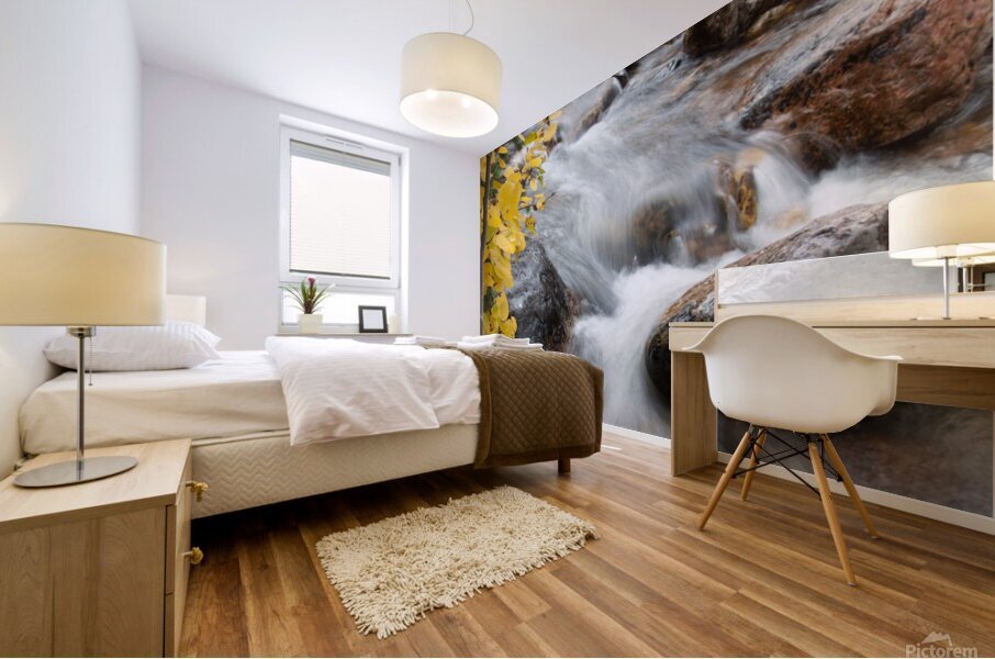 Snowy Ranch Flow Mural print