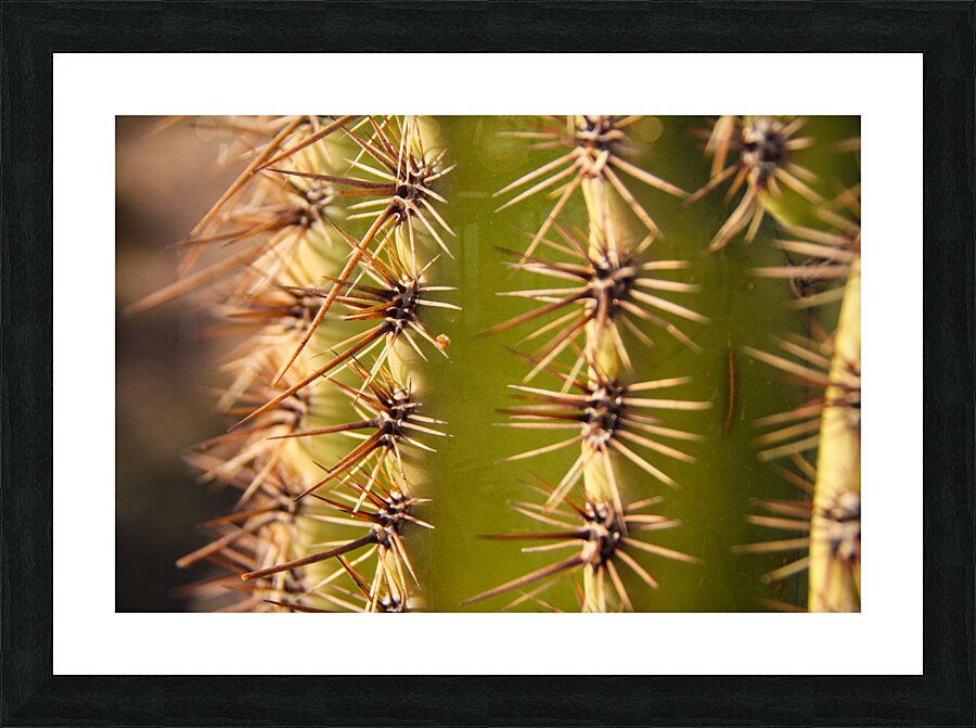 Desert Touch Picture Frame print