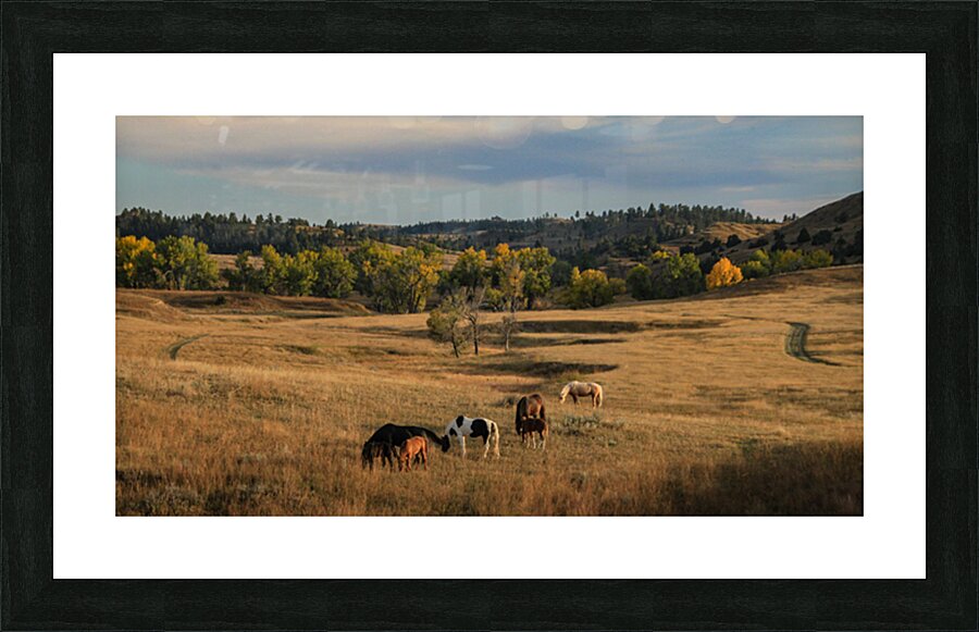 Sweetgrass Picture Frame print