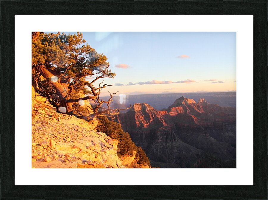 Grand Shine Picture Frame print