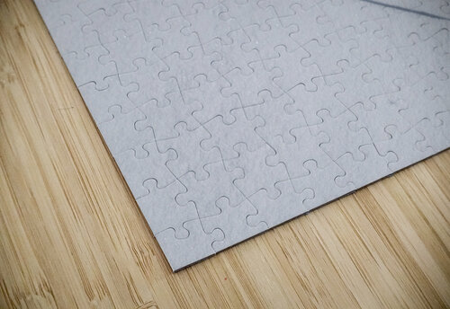 Winter Grass WB Maxwell puzzle