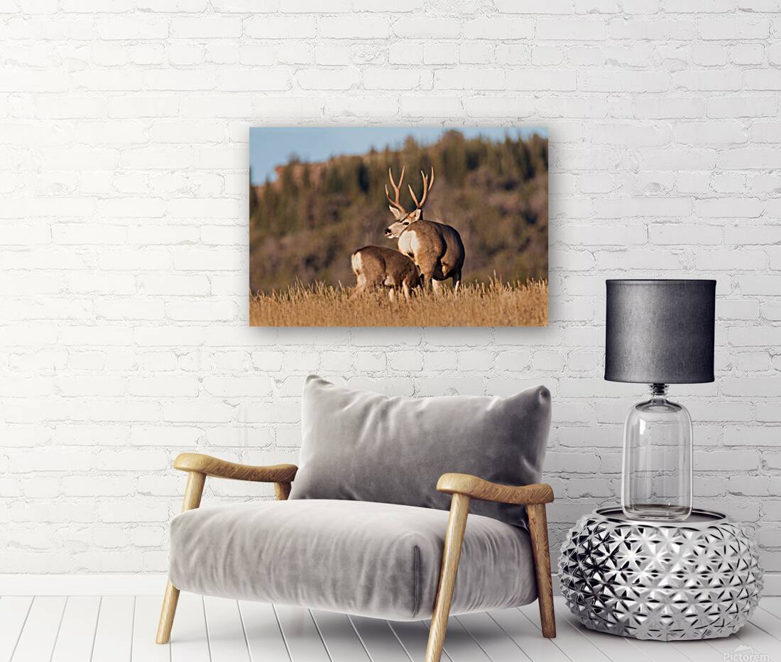 Seasons Done Reproduction