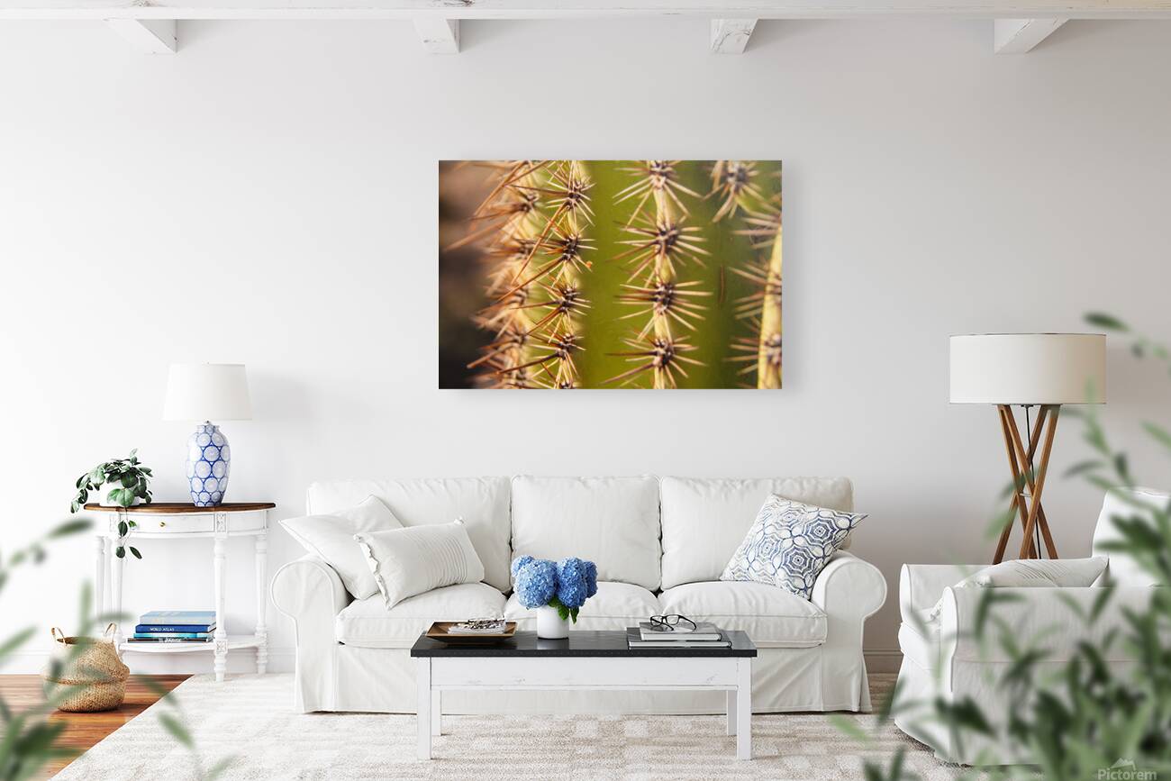 Desert Touch Reproduction