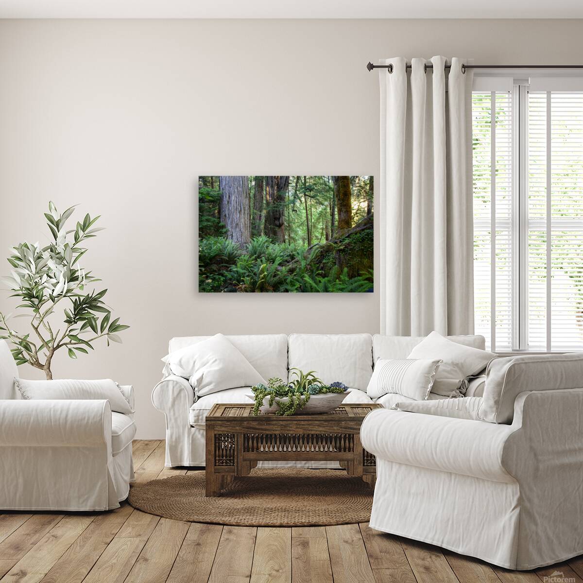 Redwoods Green Reproduction