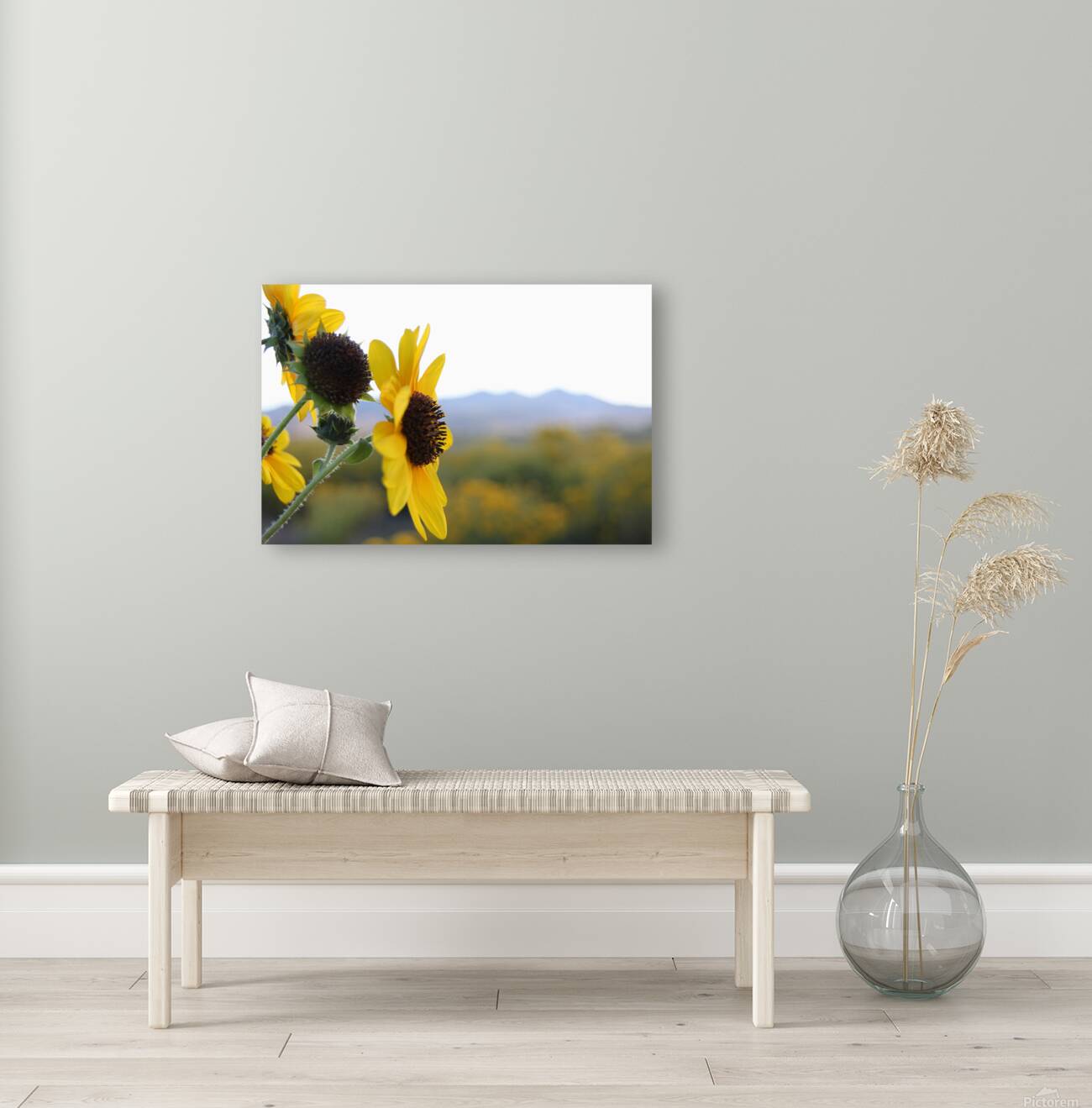 Utah Sunflower Reproduction