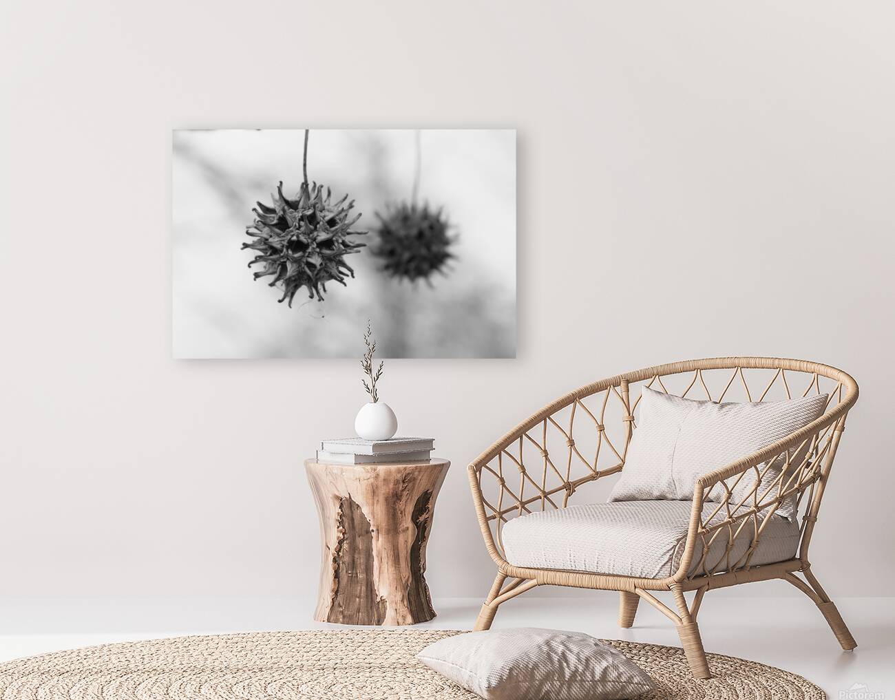 Sweet Gum Reproduction