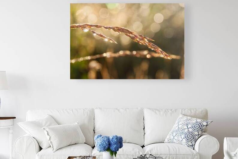 Good Morning Dew by WB Maxwell