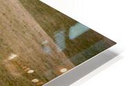 Space to Roam HD Metal print