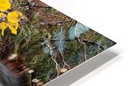 Snowy Ranch Flow HD Metal print