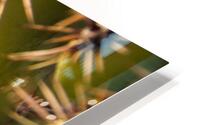 Desert Touch HD Metal print
