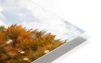 Platte River HD Metal print